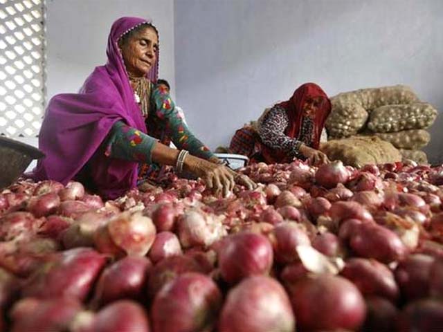 Onion prices still making people cry