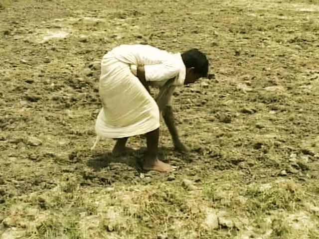 Video : Bihar government declares drought in 33 of 38 districts