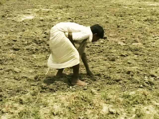 Bihar government declares drought in 33 of 38 districts