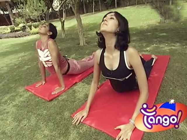 टैंगो : सूर्य नमस्कार के संपूर्ण आसन