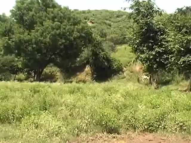 Property hunt reaches Aravallis