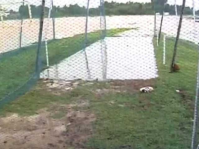 Cyclone Phailin: Cricket pitch inundated in Andhra Pradesh's Kalingapatnam