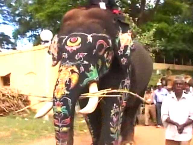 The jumbo attractions of Mysore Dussehra