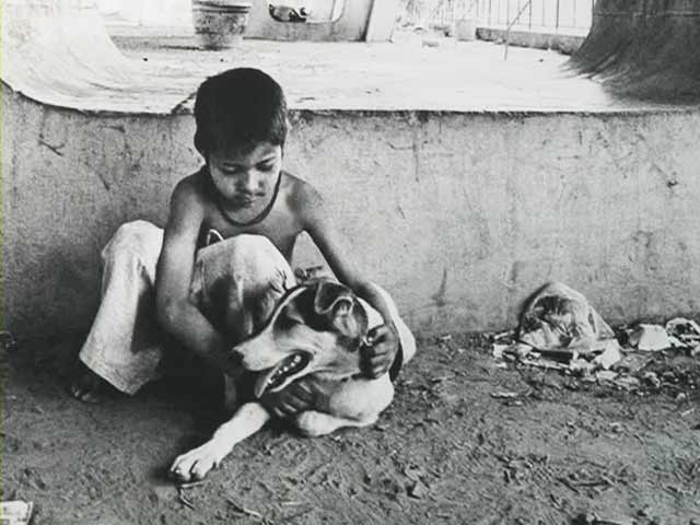 Art matters: Delhi photo festival