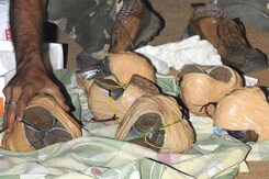 27 live bombs found in Ranchi hotel where Patna blasts suspect stayed 27 live bombs found in Ranchi hotel where Patna blasts suspect stayed