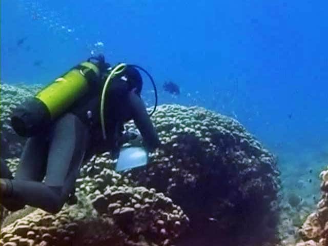 Video : Underwater: Saving our corals (Aired: July 2008)