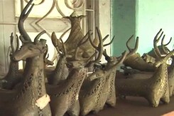 बस्तर की समृद्ध संस्कृति की झलक बस्तर की समृद्ध संस्कृति की झलक