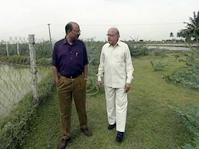 Walk The Talk: M S Swaminathan