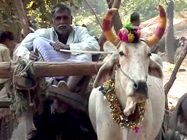 मध्य प्रदेश में वादा खिलाफी से किसान नाराज मध्य प्रदेश में वादा खिलाफी से किसान नाराज