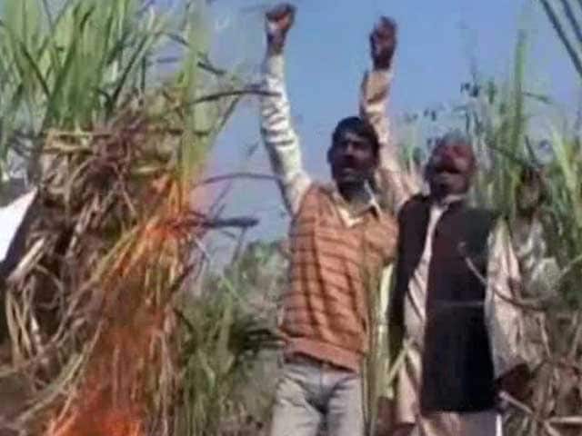 Videos : यूपी : कर्ज में डूबे गन्ना किसान ने की आत्महत्या