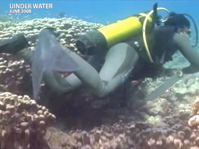 Underwater - The Hidden Truth: India's coral treasures (Aired: June 2008)
