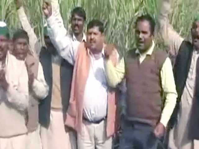 यूपी के गन्ना किसानों को राहत