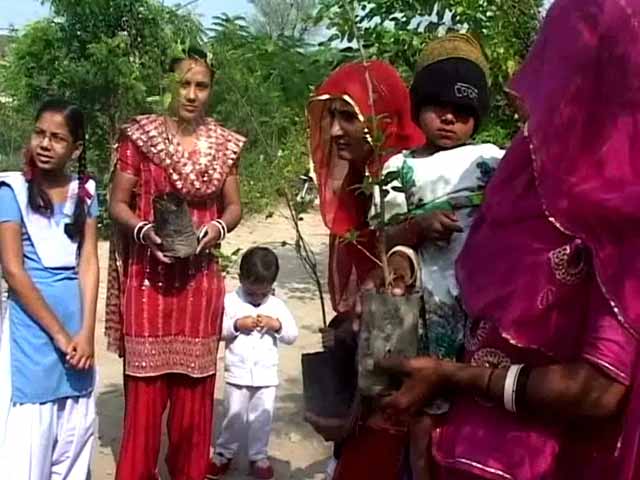 Planting a new mindset for the sake of girls