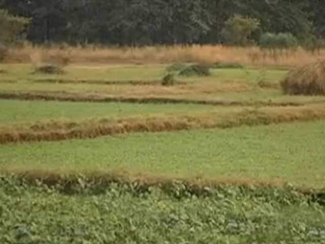 Video : Investing in agricultural land