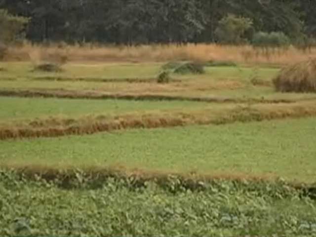 Investing in agricultural land
