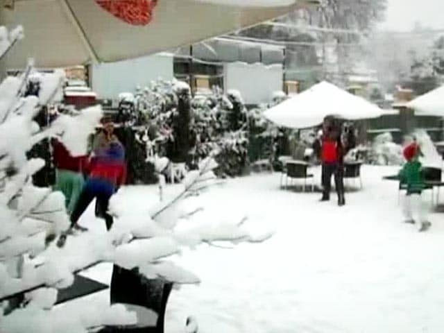 Video : White New Year for Kashmir as valley receives fresh snowfall