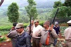 Tiger scare near Ooty shuts 45 schools, massive hunt after woman killed Tiger scare near Ooty shuts 45 schools, massive hunt after woman killed