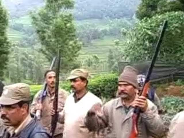 ऊटी : बाघ का आतंक, 45 स्कूल बंद