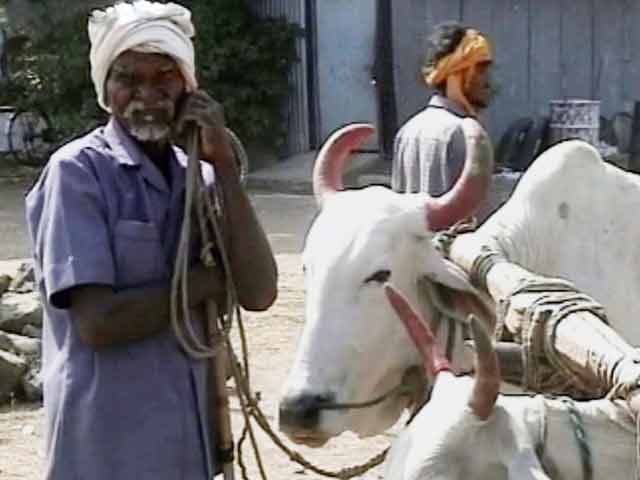 स्पेशल रिपोर्ट : किसानों की आत्महत्या क्यों...