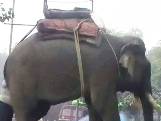 Video : दिल्ली में सड़क पर बेकाबू हुआ हाथी