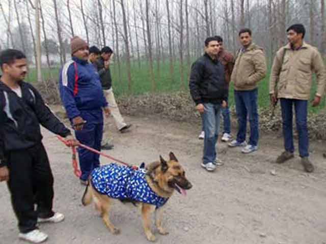 UP police's big task: find Azam Khan's stolen buffaloes