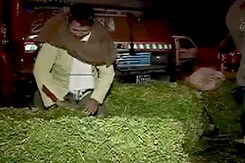 आजादपुर मंडी में व्यापारियों की हड़ताल खत्म आजादपुर मंडी में व्यापारियों की हड़ताल खत्म