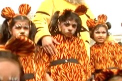 'Kids for tigers' event held at Delhi school 'Kids for tigers' event held at Delhi school