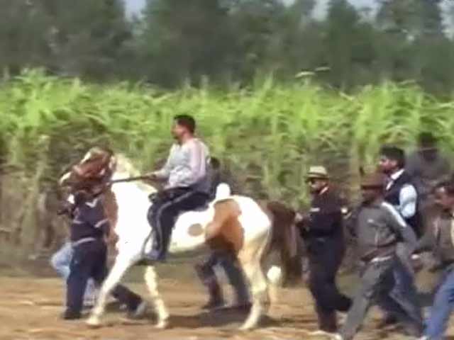 Video : आदमखोर बाघिन के शिकार पर निकले विधायक जी