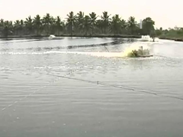 Why aqua industry is happy over division of Andhra Pradesh