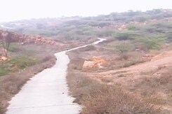 In Gurgaon, a refuge from the city's hustle bustle In Gurgaon, a refuge from the city's hustle bustle