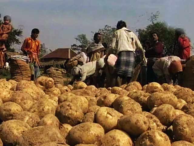 The Village Voice: Moloypur's problem of plenty (Aired: February 1998)