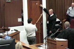 Oscar Pistorius murder trial: Cricket bat used to smash toilet door, says forensic analyst Oscar Pistorius murder trial: Cricket bat used to smash toilet door, says forensic analyst