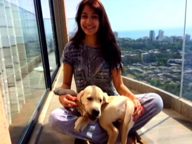Anushka Sharma's puppy love