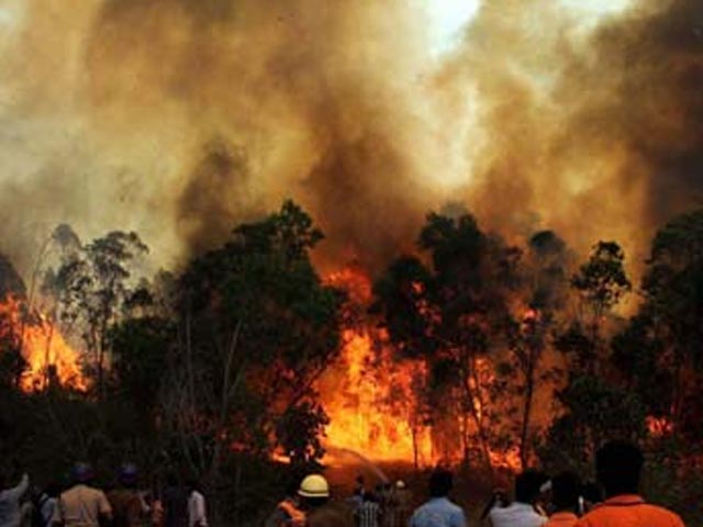 Reports of new fire in hills near Tirumala temple