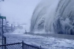 Climate change warning: environment not political priority? Climate change warning: environment not political priority?