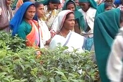 Debate over chai and 'chaiwala' brews in Assam's tea town Debate over chai and 'chaiwala' brews in Assam's tea town