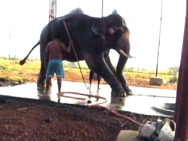 Video : Bombay High Court orders Sunder's release