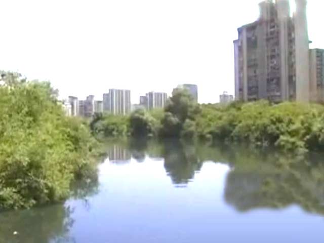 Video : Shrinking Mumbai encroaches wetlands