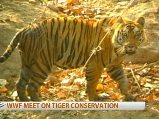 WWF meet on tiger conservation