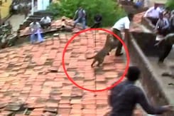 Watch: Leopard incites panic in Maharashtra village Watch: Leopard incites panic in Maharashtra village