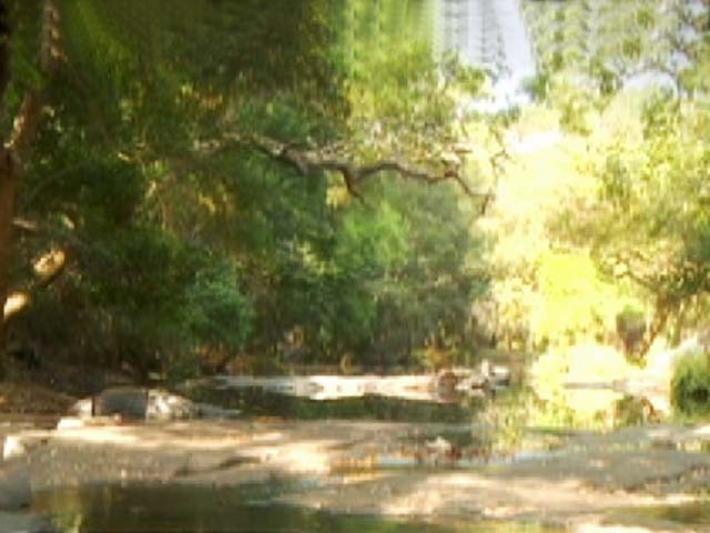 Paradise for nature lovers