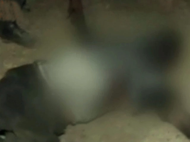 दुमका : माओवादियों ने उड़ाया वाहन, 8 की मौत