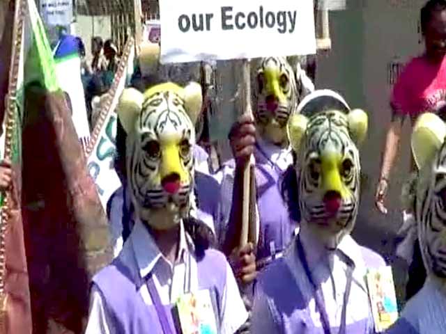 Videos : बाघ बचाओ मुहिम : कोयंबटूर में बच्चों ने निकाली रैली