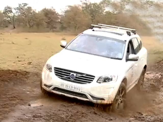 Off-Roading in the Wild!