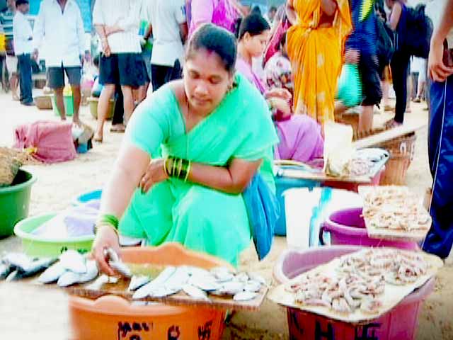 Video : Maachli Homestay - An Authentic Farm Stay in Parule, a Konkan Village