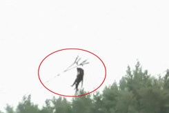 Parasailing Trip of 11-month-old: Case Against Parents, Organisers Parasailing Trip of 11-month-old: Case Against Parents, Organisers