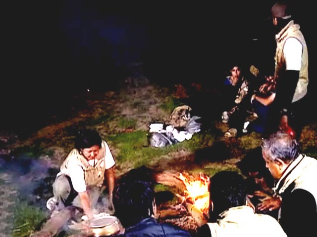 Surviving in the Wild