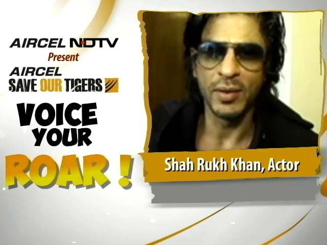 Video : Join Shah Rukh Khan in the Fight to Save Our Tigers