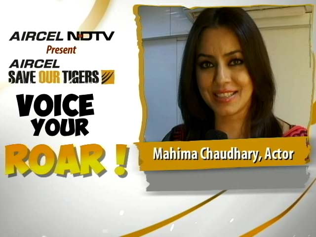 Mahima Chowdhary Asks You to Fight for the Tiger