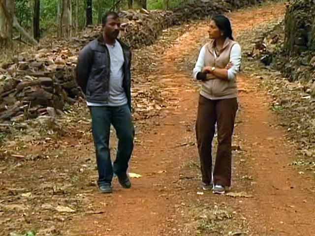 Panna's Road to Recovery: Part 1